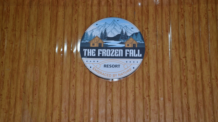 A close-up view of a circular wall sign with text reading The Frozen Fall, mounted onto a vertically grooved wooden panel surface.