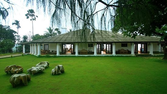 green lawn at Parisons Plantation