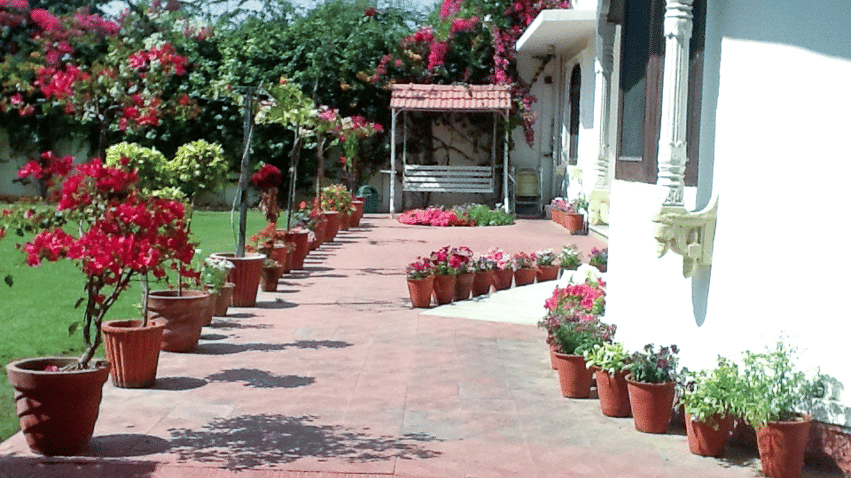 Hotel Meghniwas, Jaipur Jaipur Garden Area Hotel Meghniwas Jaipur 7