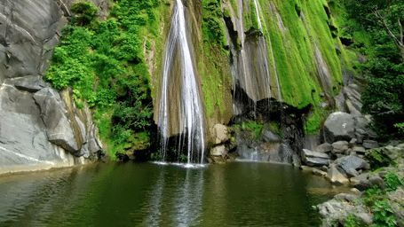 Bheel Beri Waterfalls in Rajasthan with water cascading down the rocky mountain surrounded by plants with a waterbody at the bottom where water gets collected.
