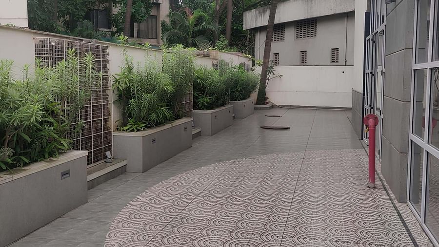A pathway outside Indie Stays, BKC Kalina, lined with a series of plants along the wall.