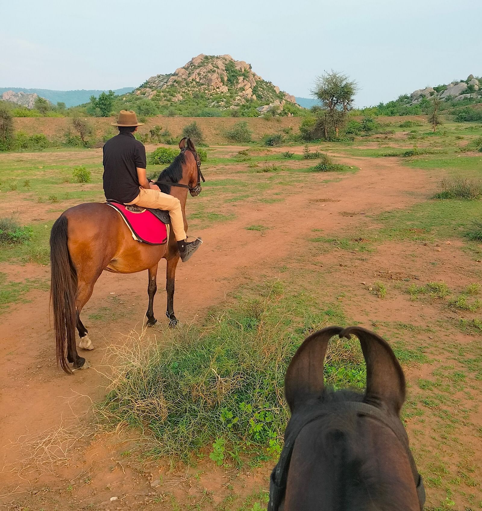An image of a man riding a horse amidst open fields with greenery - Utsav Camp Sariska