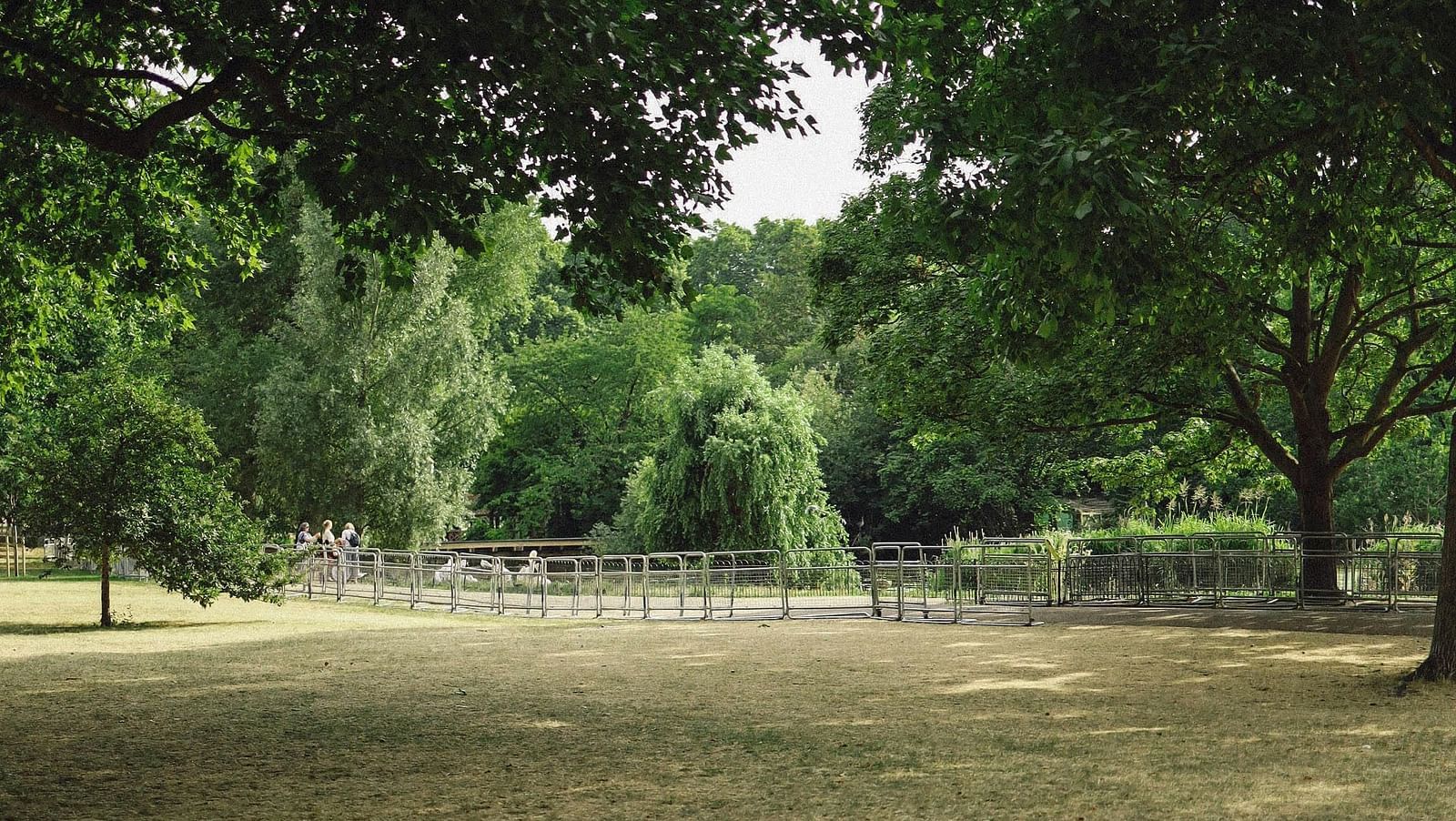 image of a garden with trees and grass all spread over the place
