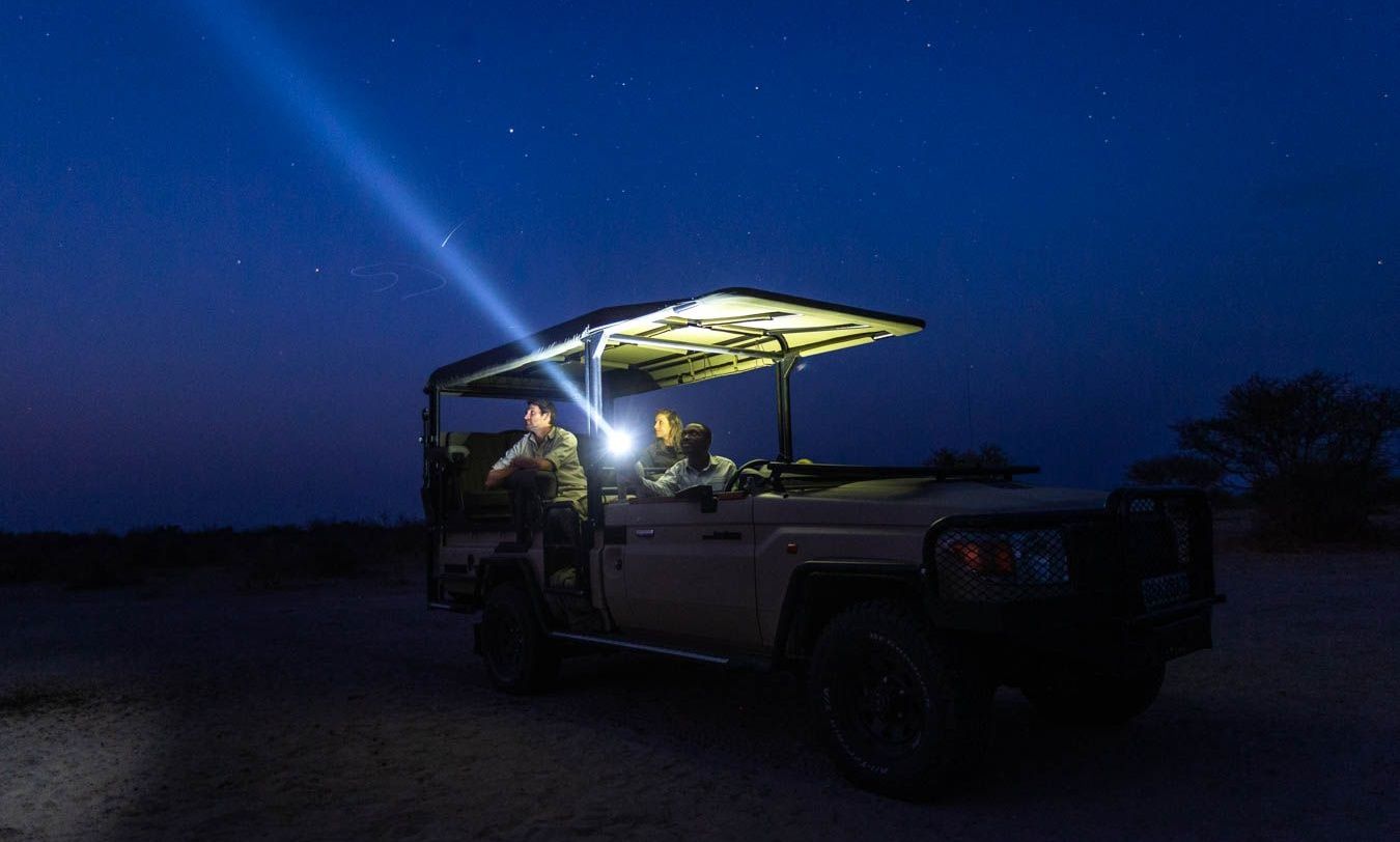 Night safari vehicle with spotlight on a starry sky.