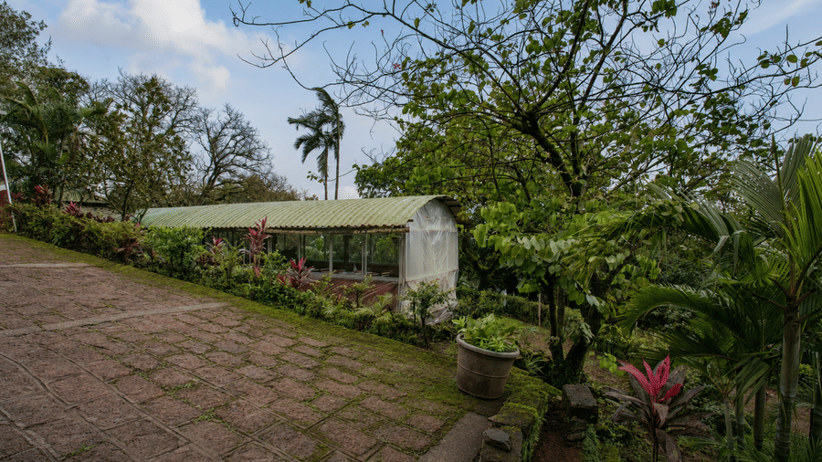 Paved walkway leading towards a small greenhouse at Wind Chalet, with landscaped garden beds and mature trees along the pathway.