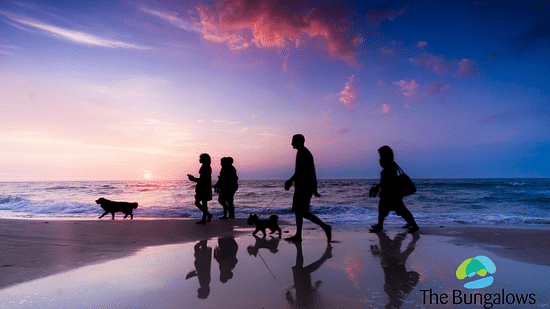 The Bungalows  Multigenerational travel