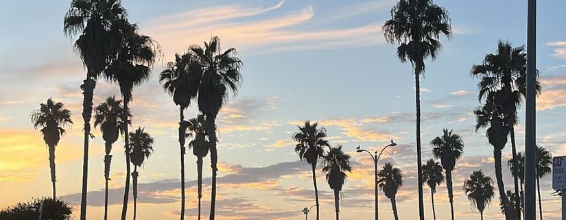 C7522D46-D62D-4CC5-9F8C-DD21493F2454