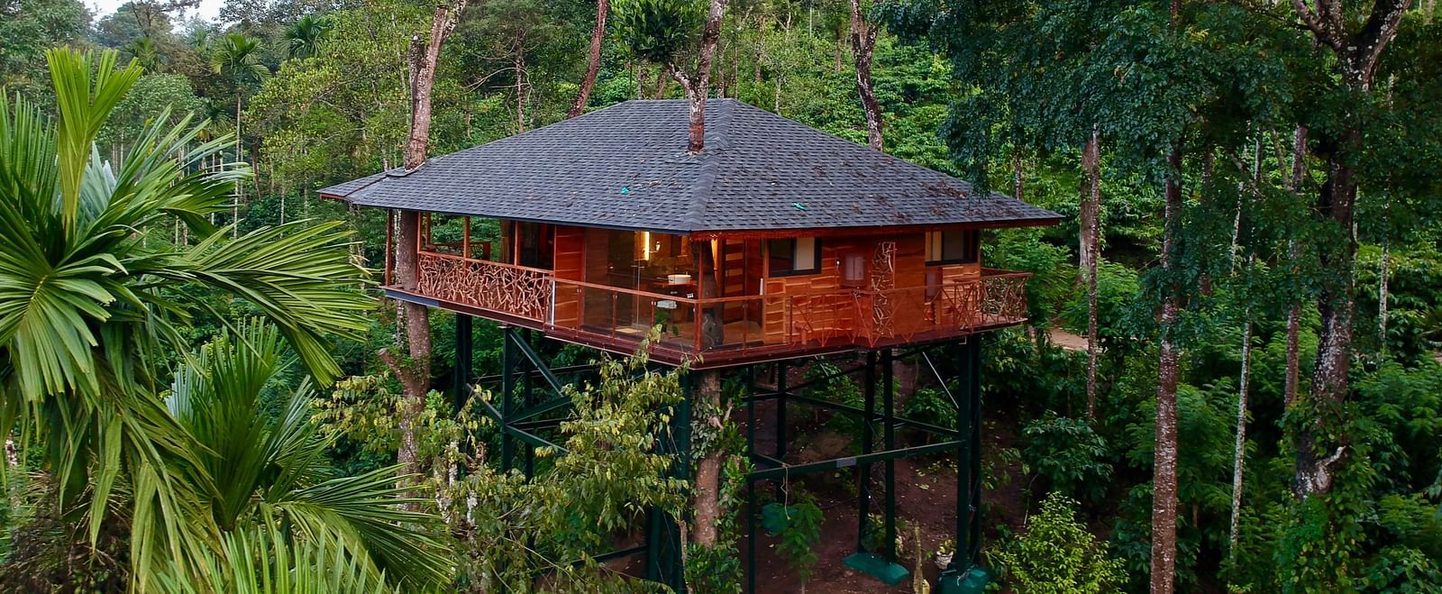 Tree house nestled amongst lush green foliage on a hillside - BluSalzz Collection - Tranquil Resort, Wayanad
