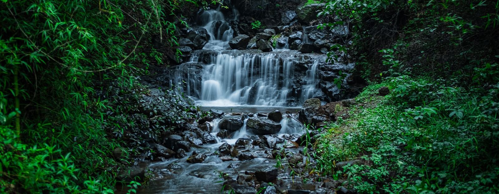 A close-up shot of a small stream with cascades of water flowing over mossy, dark rocks in a lush forest - Tranquil Piedmont Estates & Resort, Lonavala