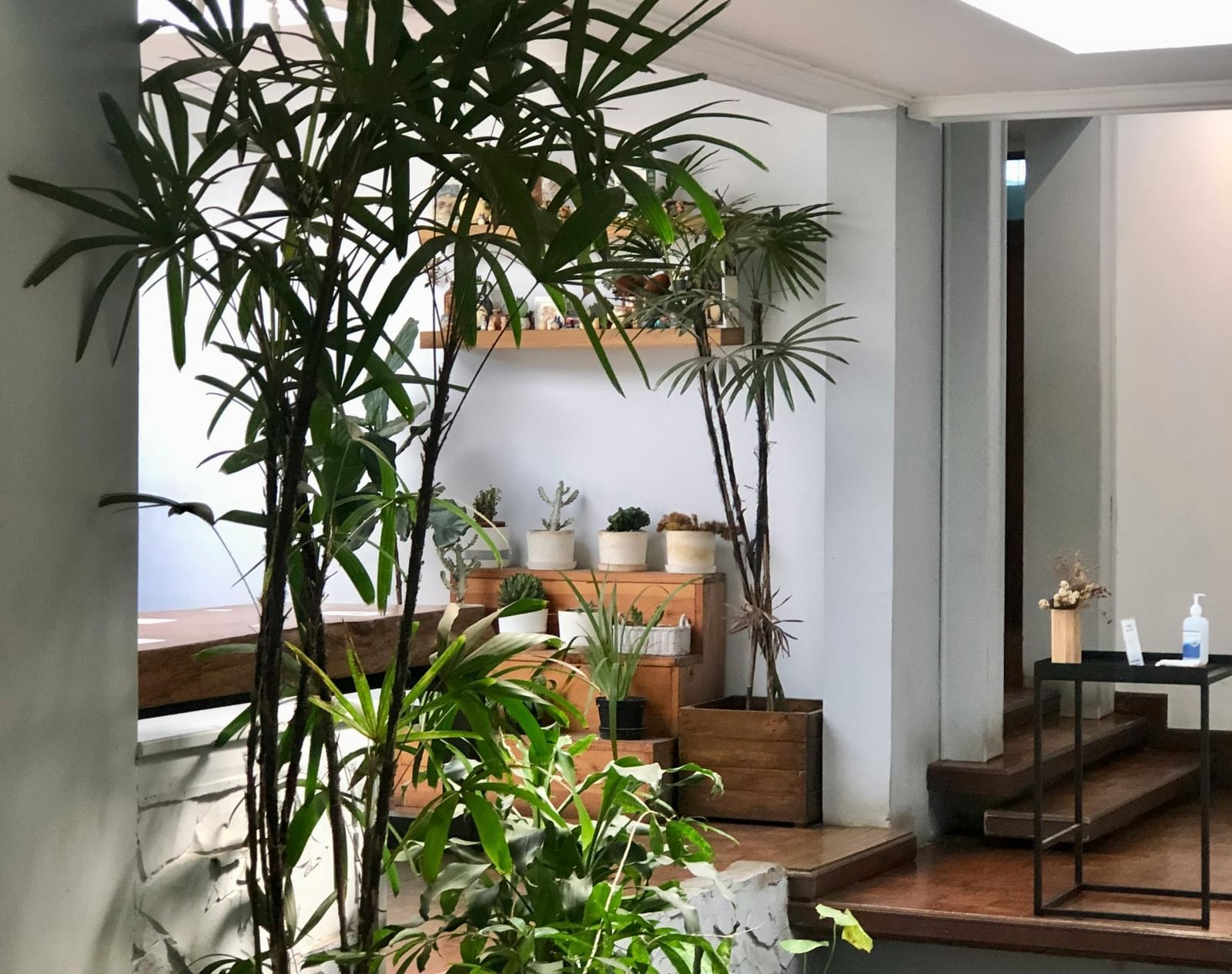 An exterior of a building surrounded by various green plants.