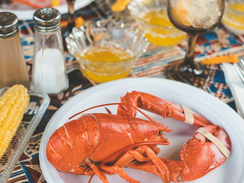 A cooked red lobster served on a white plate with corn on the cob and drinks in the background