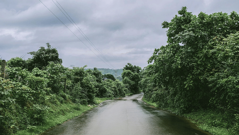 A wet, winding road through lush green trees and shrubbery under a dramatic, overcast sky with heavy grey clouds.