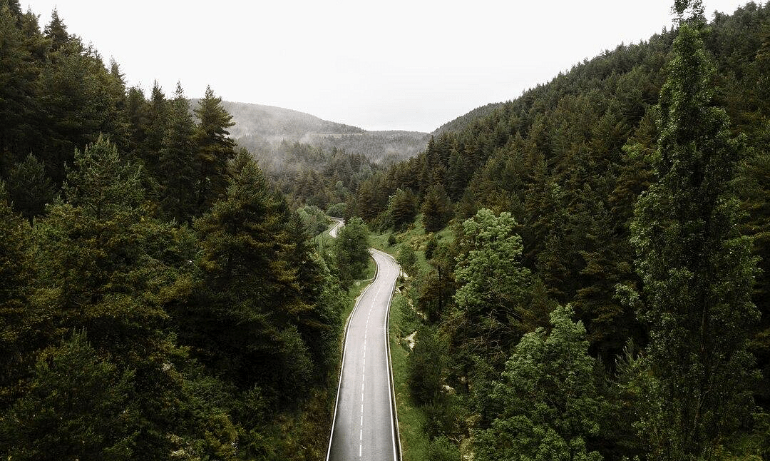 Scenic road surrounded by lush green trees and mountains
