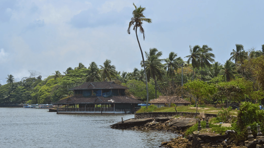 A calm waterfront scene with palm trees and buildings along the shore.