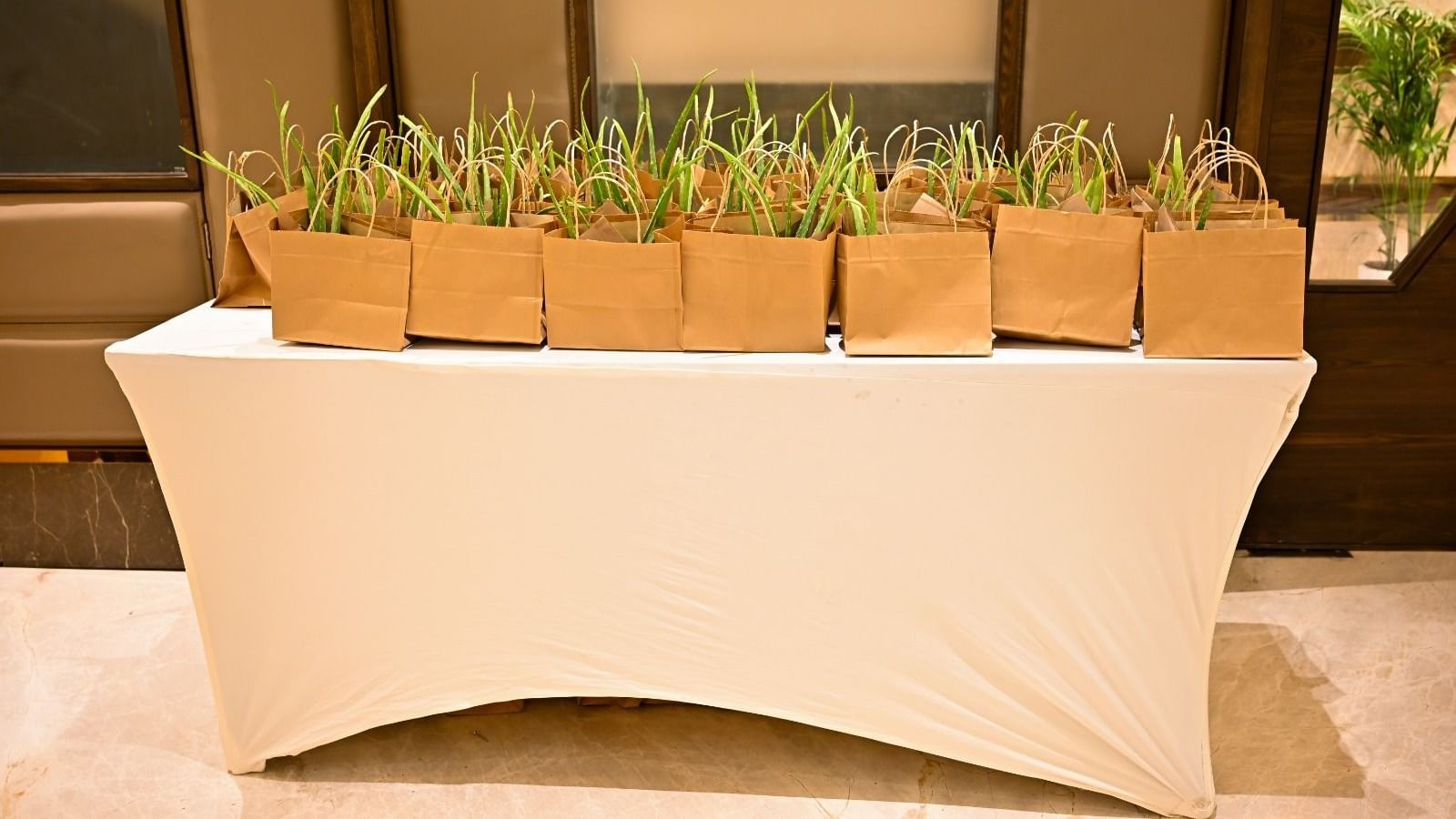 Succulent plants neatly arranged in brown packaging for a giveaway at BluSalzz Residence, Amritsar