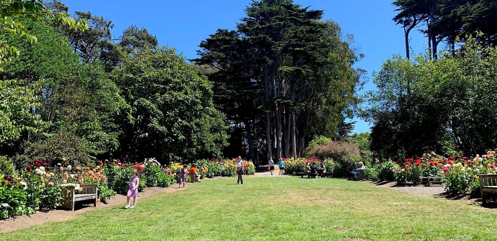 A green lawn surrounded by trees and flower beds, with people walking in the distance on a sunny day. Benches line the edges.