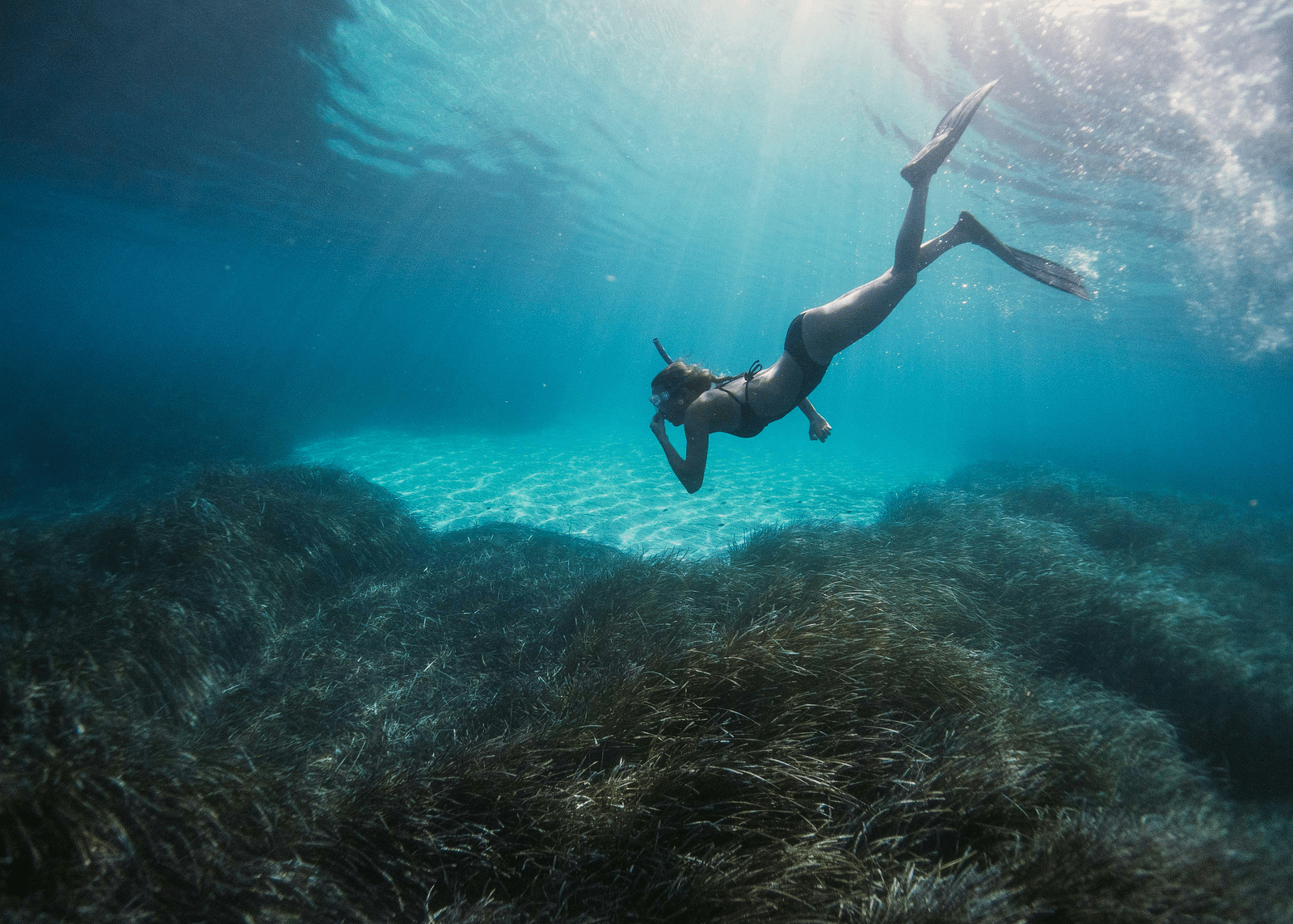 A person swimming underwater during a snorkelling activity - Hotel 39, Jamaica