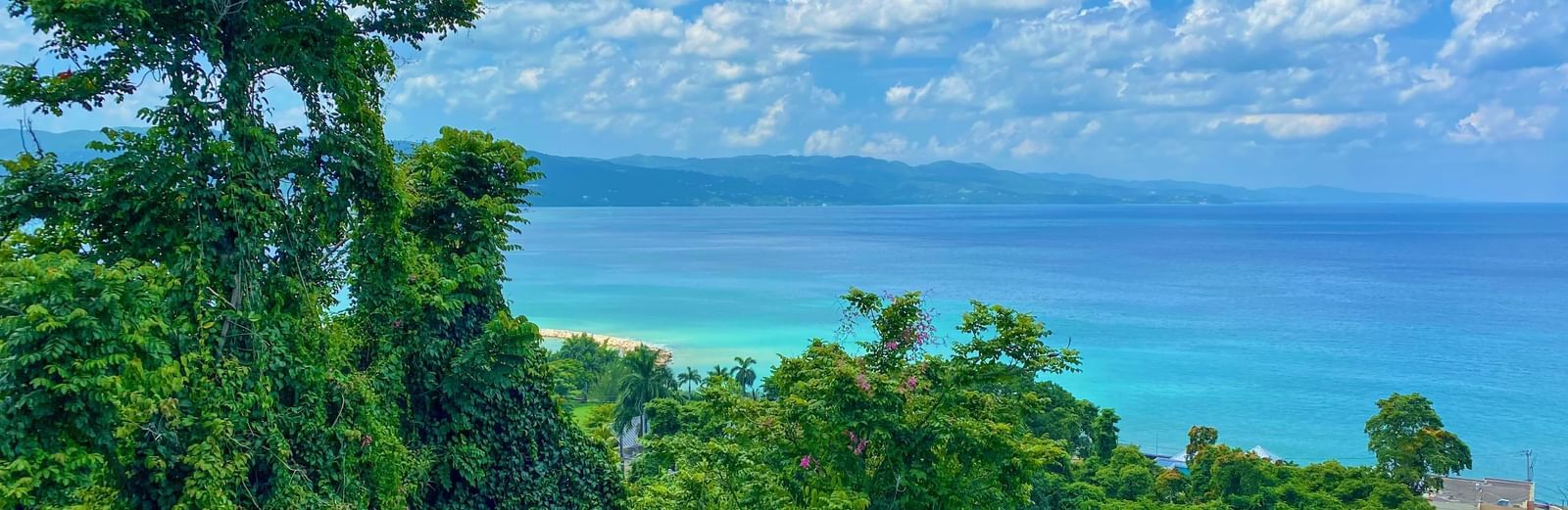 An overview of the Caribbean Sea with tree cover in the foreground.