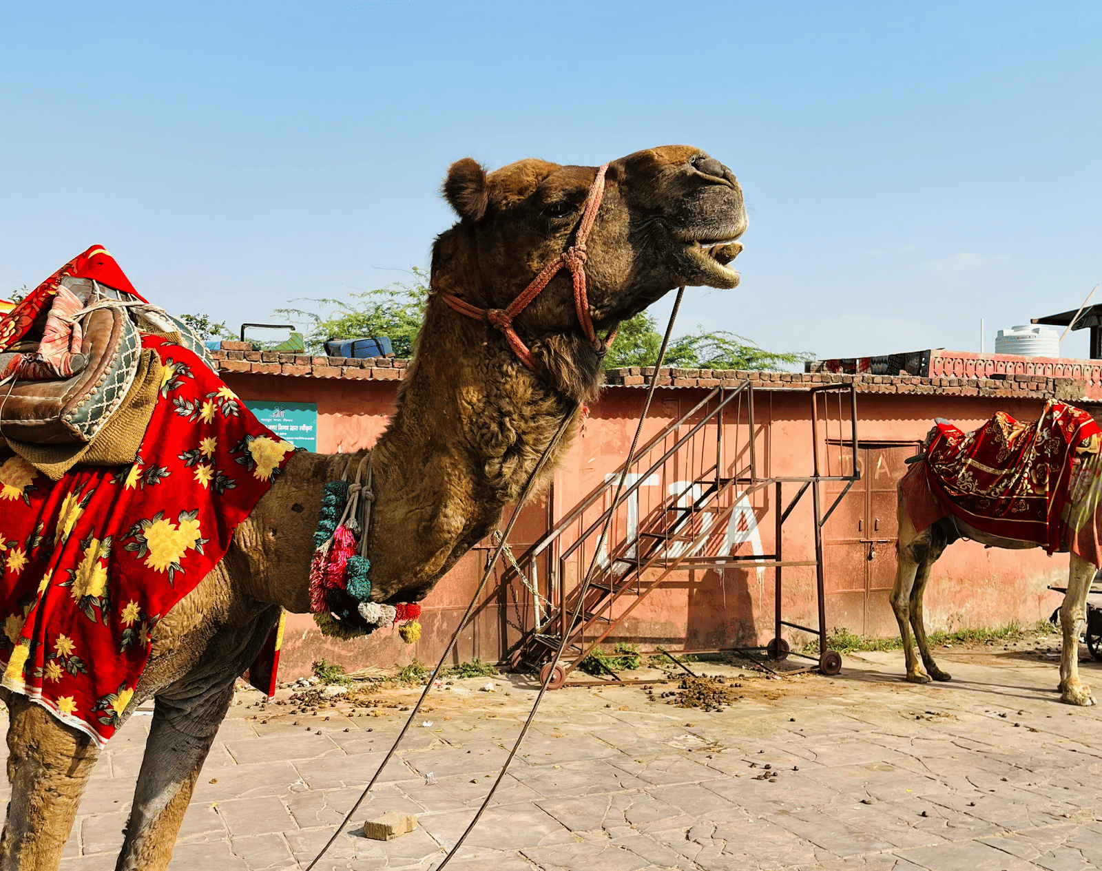 Things to Do in Jaipur | Activities in Jaipur | BluSalzz