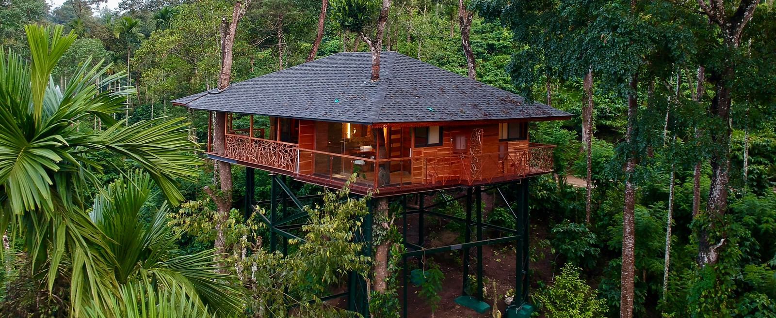 Tree house nestled amongst lush green foliage on a hillside - BluSalzz Collection - Tranquil Resort, Wayanad