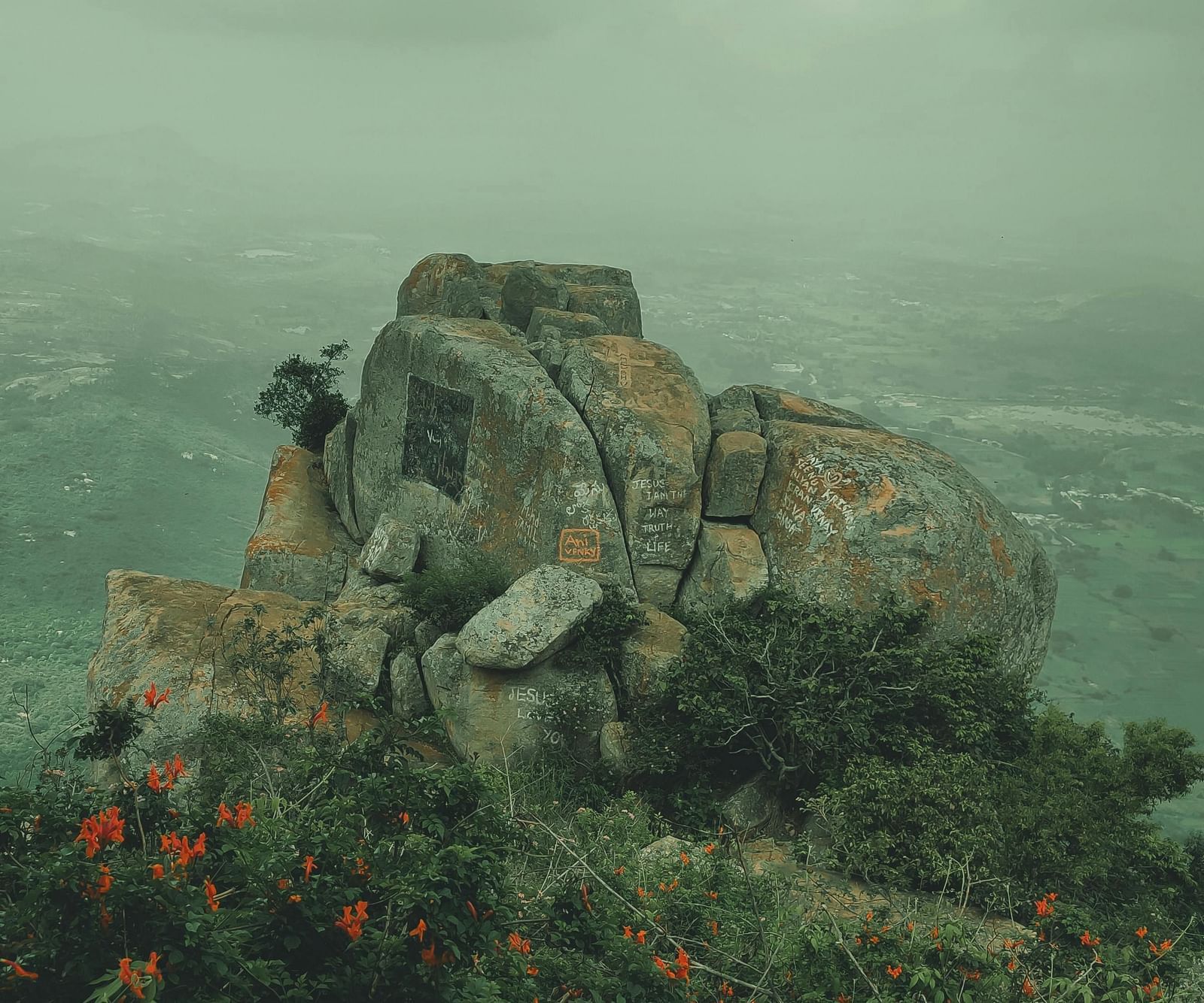 An image of a mountain surrounded by plants