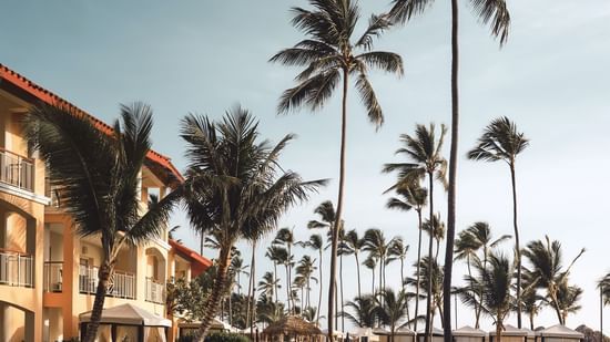 alt-text christian-lambert-vmIWr0NnpCQ-unsplash