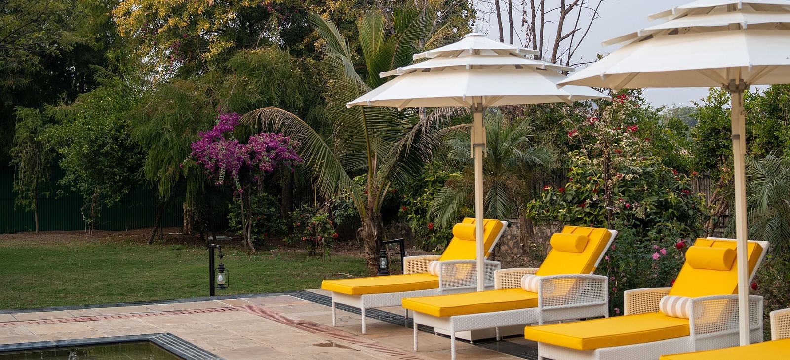 A swimming pool area at Aamaghati Jungle Retreat Ranthambore with yellow sun loungers and large white umbrellas.