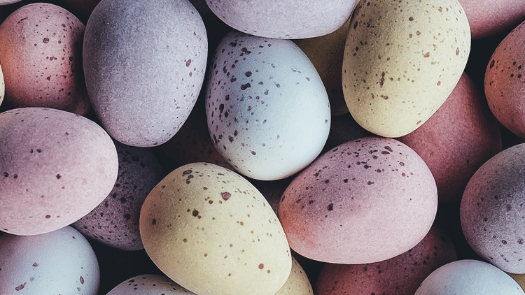 colourful easter eggs 