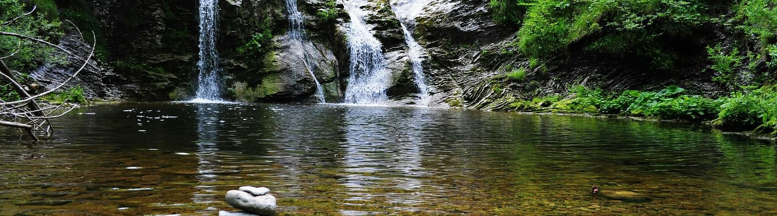 A waterfall surrounded by a forest.