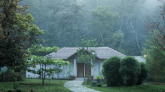 A house with a pathway is situated in a misty forest, creating a serene scene.- Abad Brookside Lakkidi, Wayanad