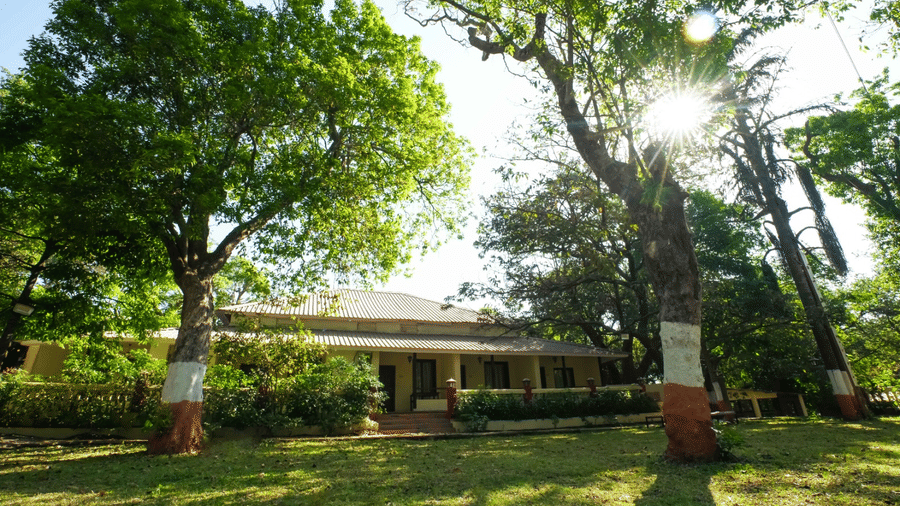 WhatsApp Image 2025-10-28 at 5.13.50 PM