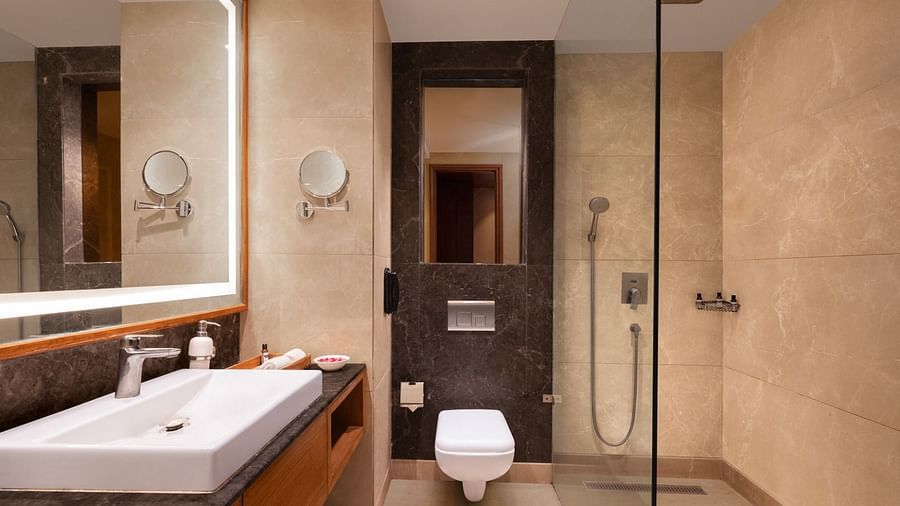 Luxury Classic Washroom