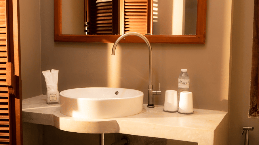 Deluxe room (toilet) 1