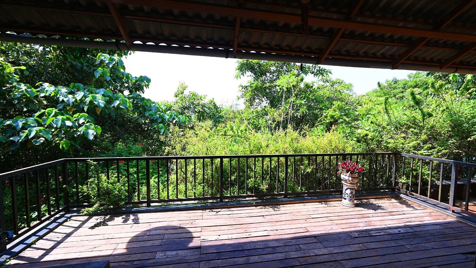 A wooden deck with a railing overlooks a lush green forest.