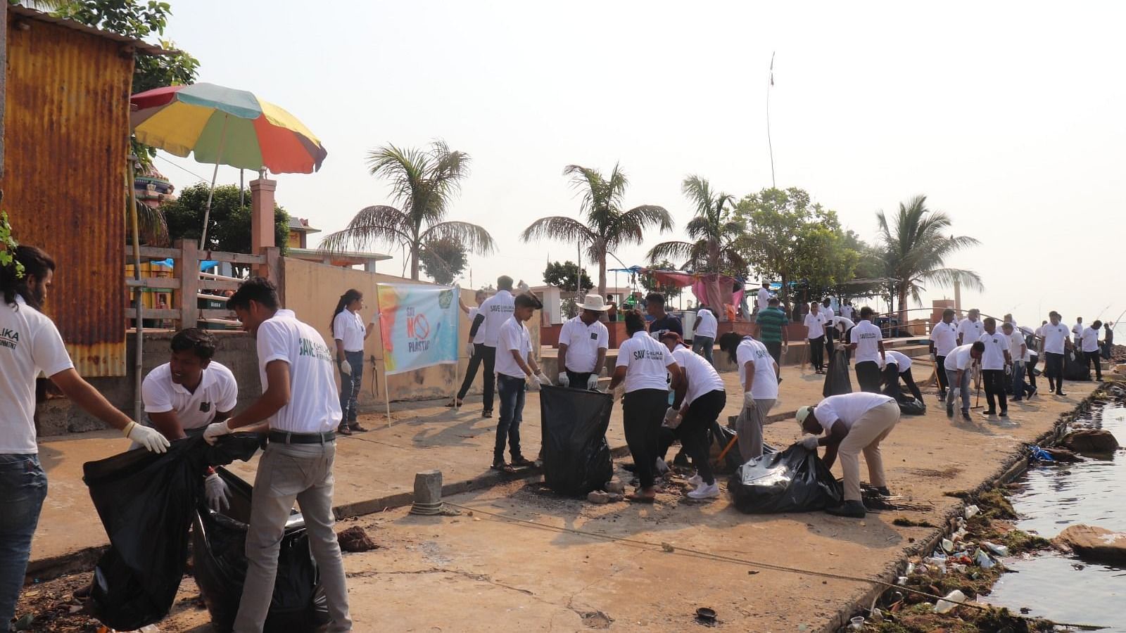 People cleaning up a river bank on a sunny day