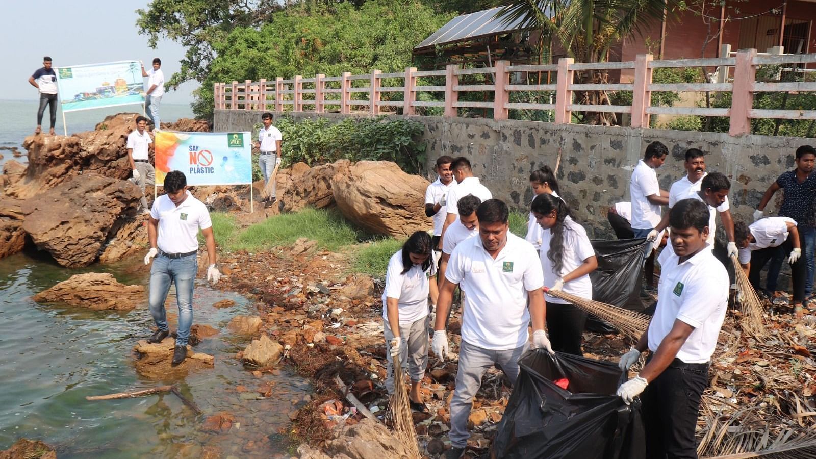People cleaning up a river bank on a sunny day