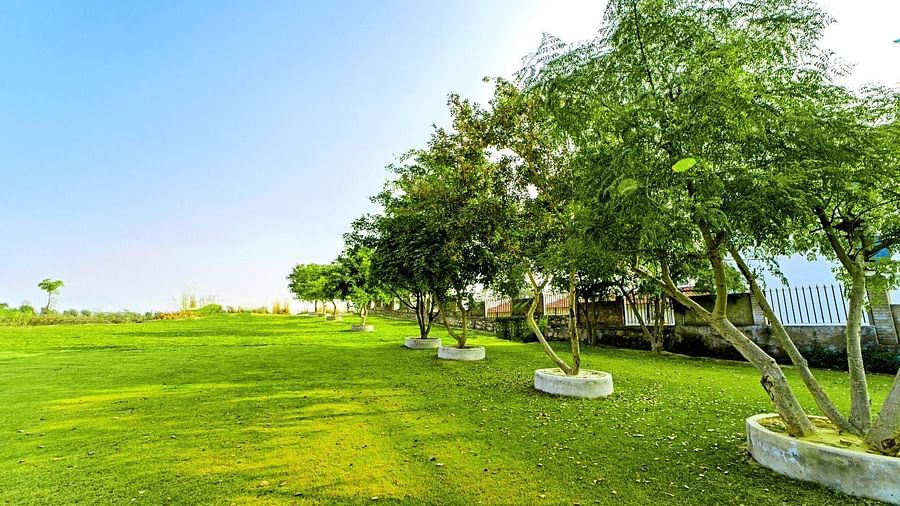 Lush garden area at Grassfield Riveria Resort, Jaipur, with well-maintained lawns and trees under a clear sky.