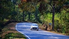 A car driving on a road surrounded by tall tress with a sign in Kannada