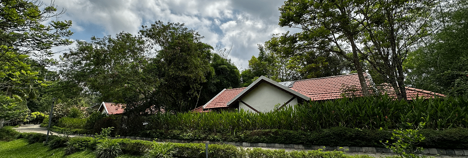 exterior of the property with tall bushes covering the edges - Kadkani River Resort, Coorg