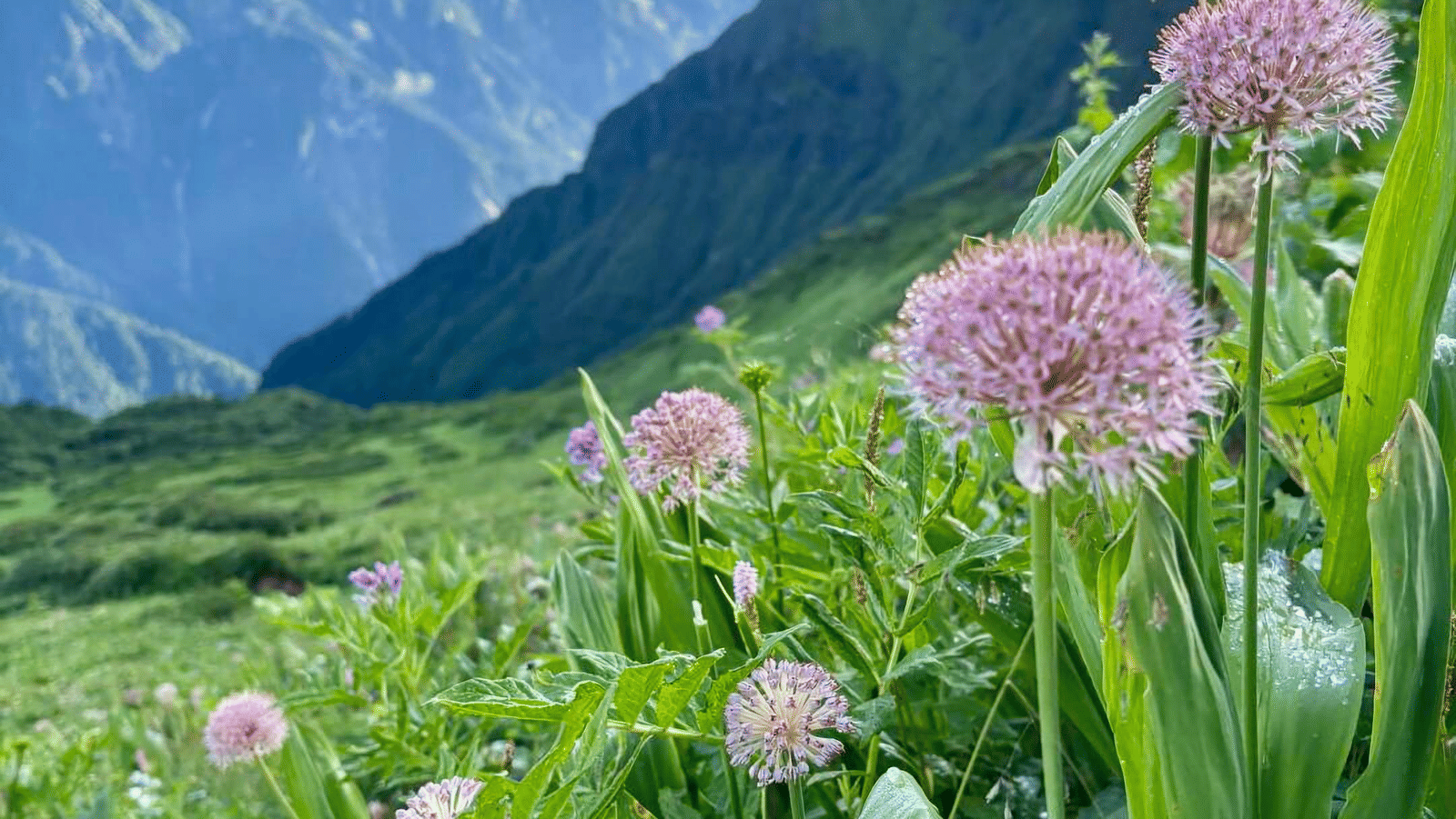 pexels-noor-din-36749271-33475228