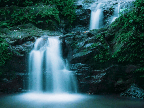 The cascading waterfall in a dense forest surrounded by vibrant green vegetation.