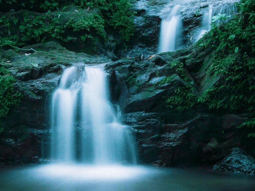 The cascading waterfall in a dense forest surrounded by vibrant green vegetation.