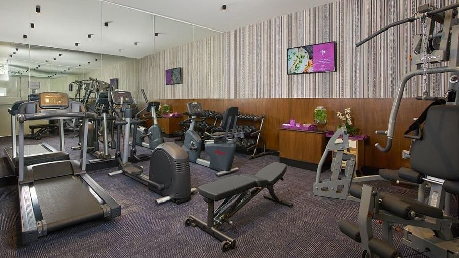   A modern, well-equipped gym with cardio machines, weightlifting equipment, and free weights.