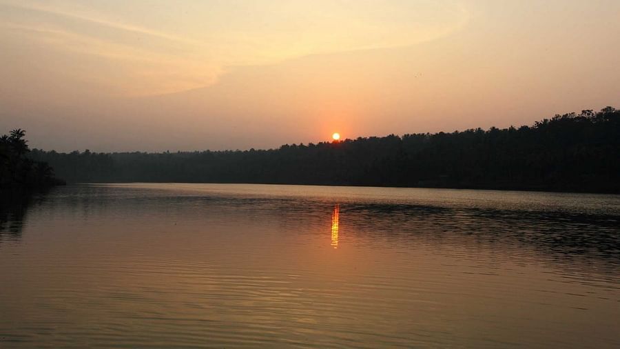 Sunset over the lake with trees silhouetted against the horizon