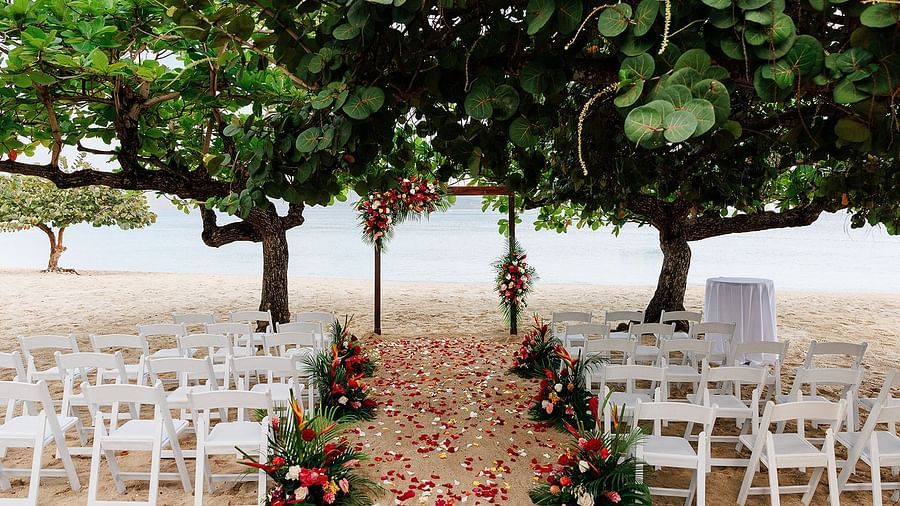 An outdoor wedding ceremony setup on a sandy beach. White chairs are arranged on either side of a path of rose petals leading to a decorated archway under two large trees. In the distance, the ocean is visible.