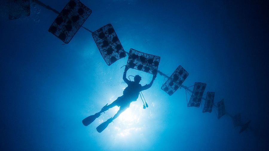 Underwater-10-1