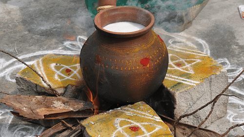 A pot with pongal in it placed on a fireplace