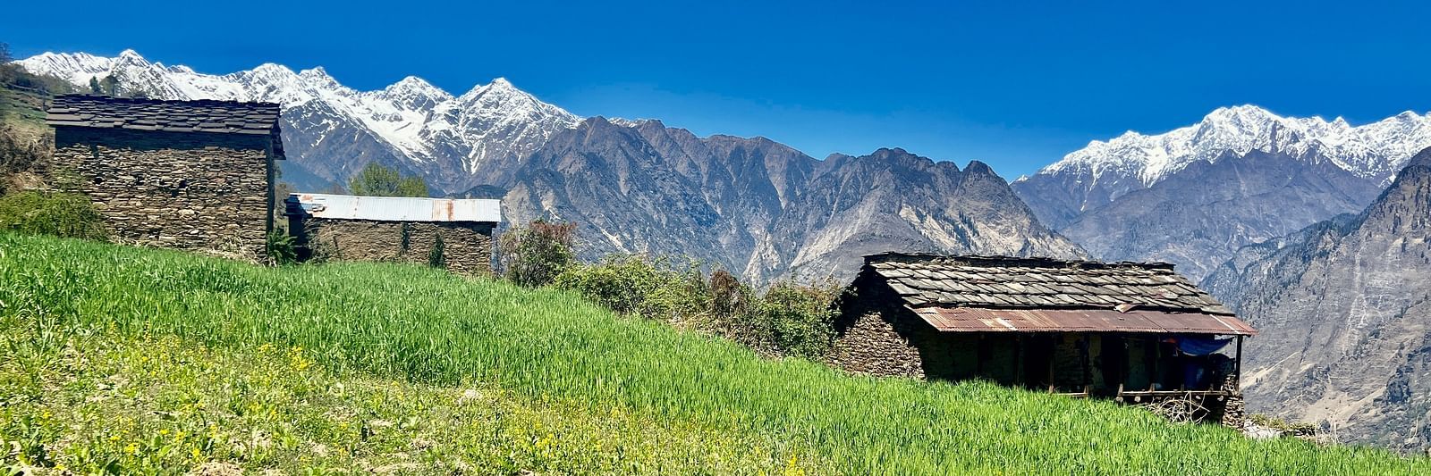 Image of a valley with huts and majestic mountians in the background | Faraway Cottages, Auli