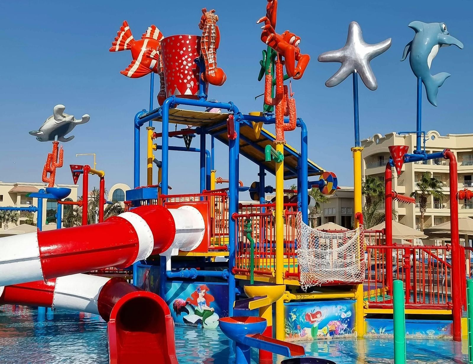 water slides and tunnels in a water park ending in a shallow depth pool