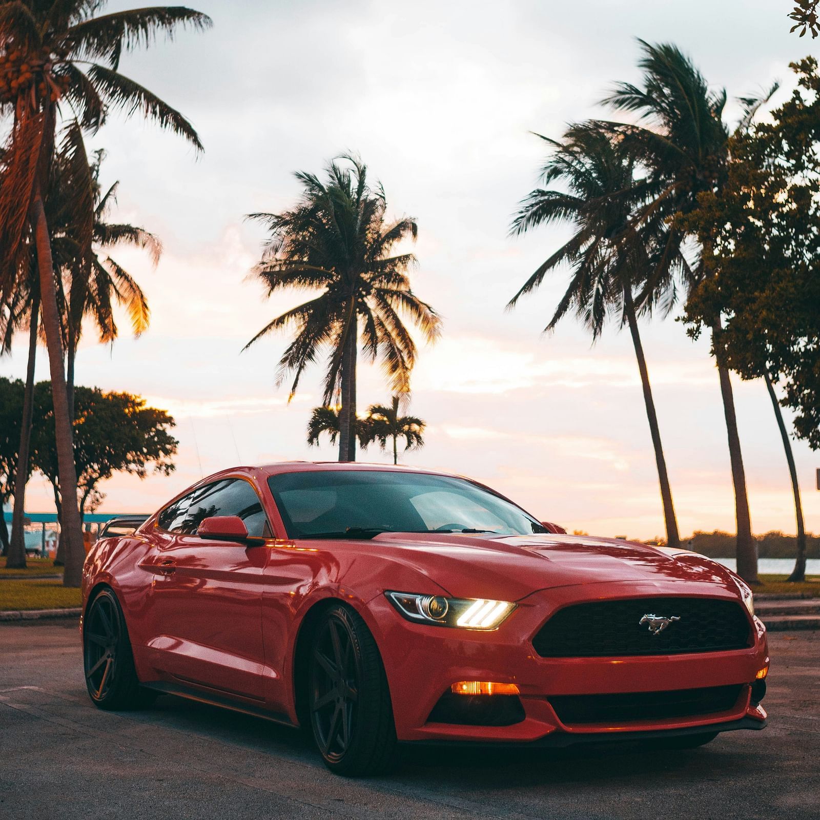 A red car parked amidst palm trees with a cloudy sky in the background